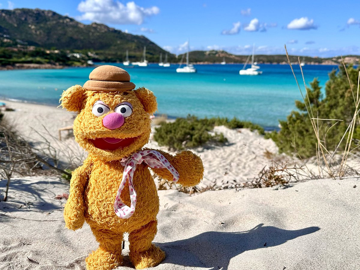 Fozzie_travels's tweet photo. Maldives? Who needs the Maldives, when #Sardinia is so much closer? White beach and blue water. Maybe some tropical fish too. Love it here. 💚🤍❤️
#italy #Sardegna #mare #Ichnusa #CostaSmeralda https://t.co/VwkRiJ70U3