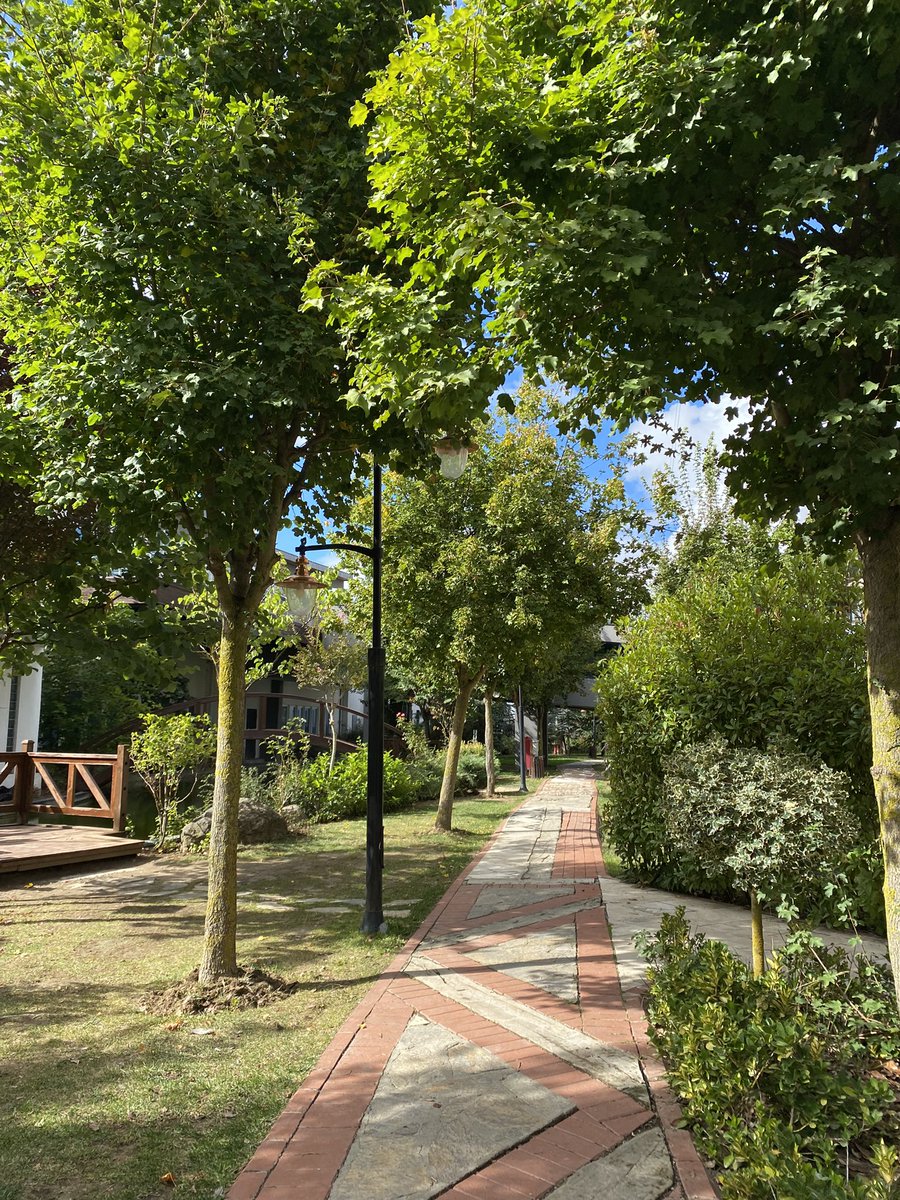 Hil (@hilalakbaba_) on Twitter photo 