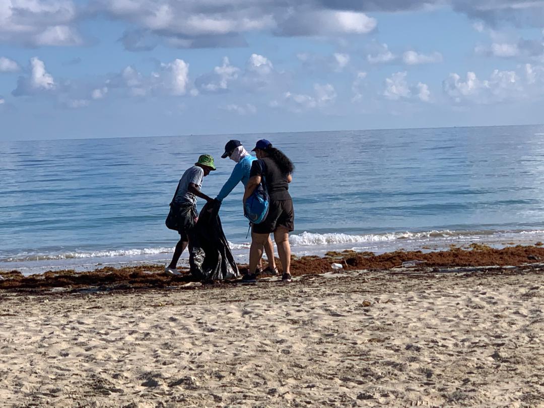 Cada botella, lata o plástico recogido en la playa es una oportunidad para darle una segunda vida a los materiales. ¡Protejamos el mar y mantengamos limpias nuestras playas!
#Cuba #CubaRecicla #IndustriasCuba #RecuperamosValores