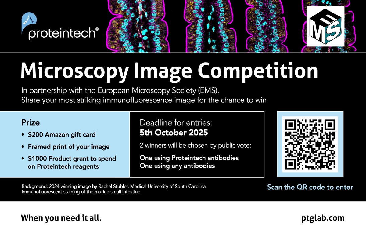 Haley Wilson tweet media