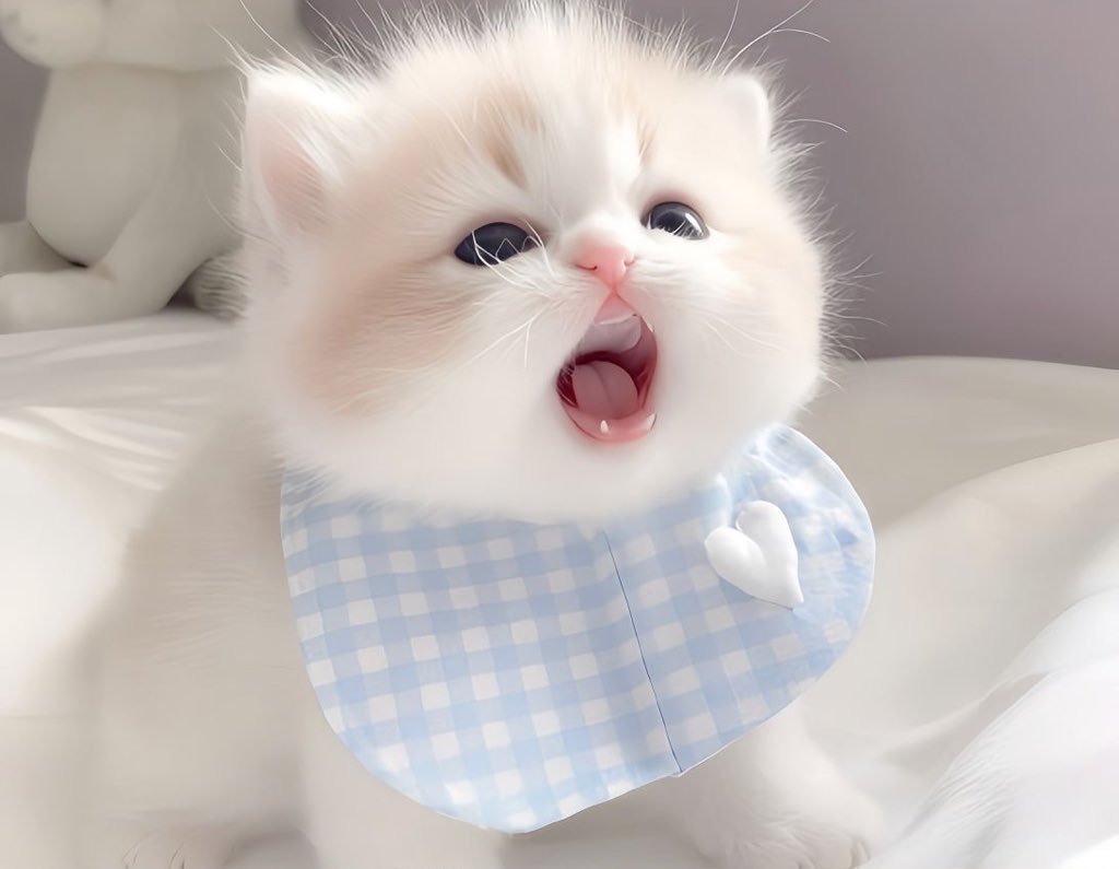 ‧₊˚ 🐬 Iqiyi VIP🍀🍮🍎
 — 30 days  35 baht

⟡ ดูได้ทุกอุปกรณ์
⟡ ไม่มีโฆษณา หนังเยอะ ภาพคมชัด

🍀Line : lin.ee/fetCAqW

#iqiyiหาร #หารอ้ายฉี้อี้ #หารiqiyi #iQiyiVIP #iQIYIราคาถูก #iqiyiหาร  #หารIQIYIราคาถูก #หารiqiyiพรีเมียม #เขมจิราต้องรอดEp8 #เขมจิราต้องรอดseries