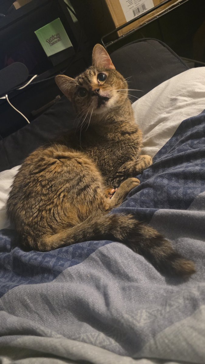 i have to say goodbye to my old lady this thursday. shes been with me half my life and i cant imagine things without her there. i wish i could express to her how much she means to me.