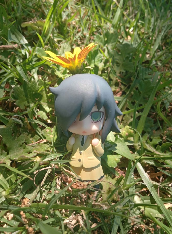 t0mokinnie's tweet photo. thread of mokotography I did today!
#watamote #tomokokuroki #t0mokinnie 
 1/5 https://t.co/hMSjsHuDcW