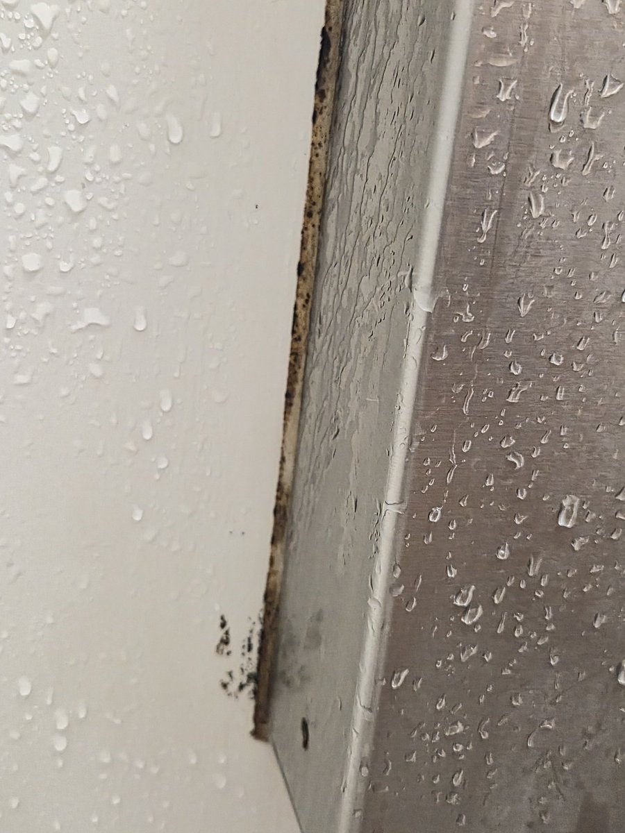 qtcol's tweet photo. @fit4less I finally tried the showers at the Scarborough location and I was quite disappointed ☹️ https://t.co/5mRSXbUlwK