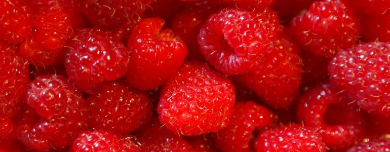 PointBiotech's tweet photo. Genomeditierung von Himbeeren, CRISPR-Tarnkappe für innovative Diabetestherapie, Vollwert-Bienenfutter mit GVO-Hefe, Apomixis-Saatgut ohne Befruchtung : der neue scienceindustries POINT Newsletter 279 (September 2025) https://t.co/S6zacXDCDe https://t.co/pUdTuOCtXl