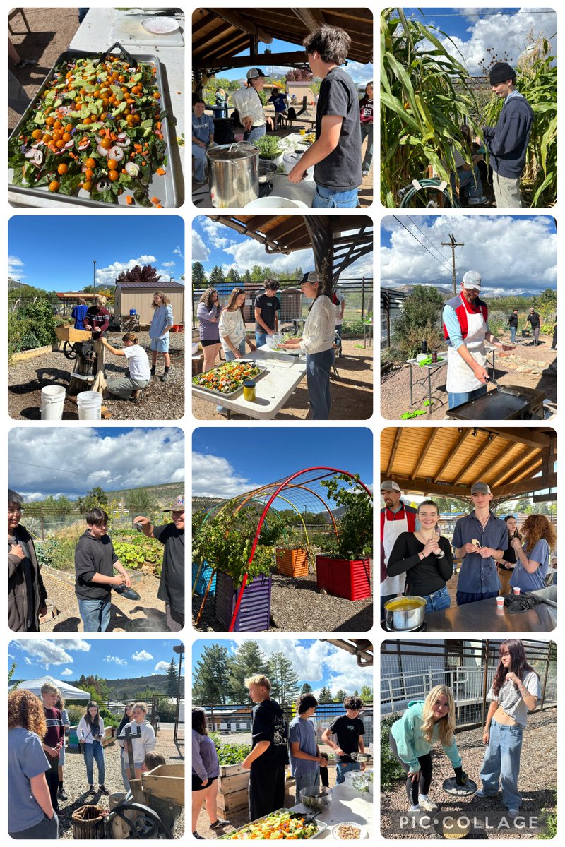 Dr. Karen Cheser tweet media