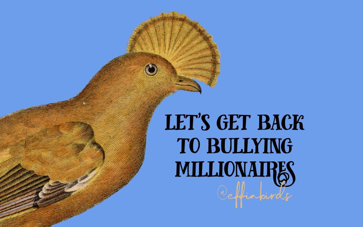 Effin' Birds (@effinbirds) on Twitter photo 