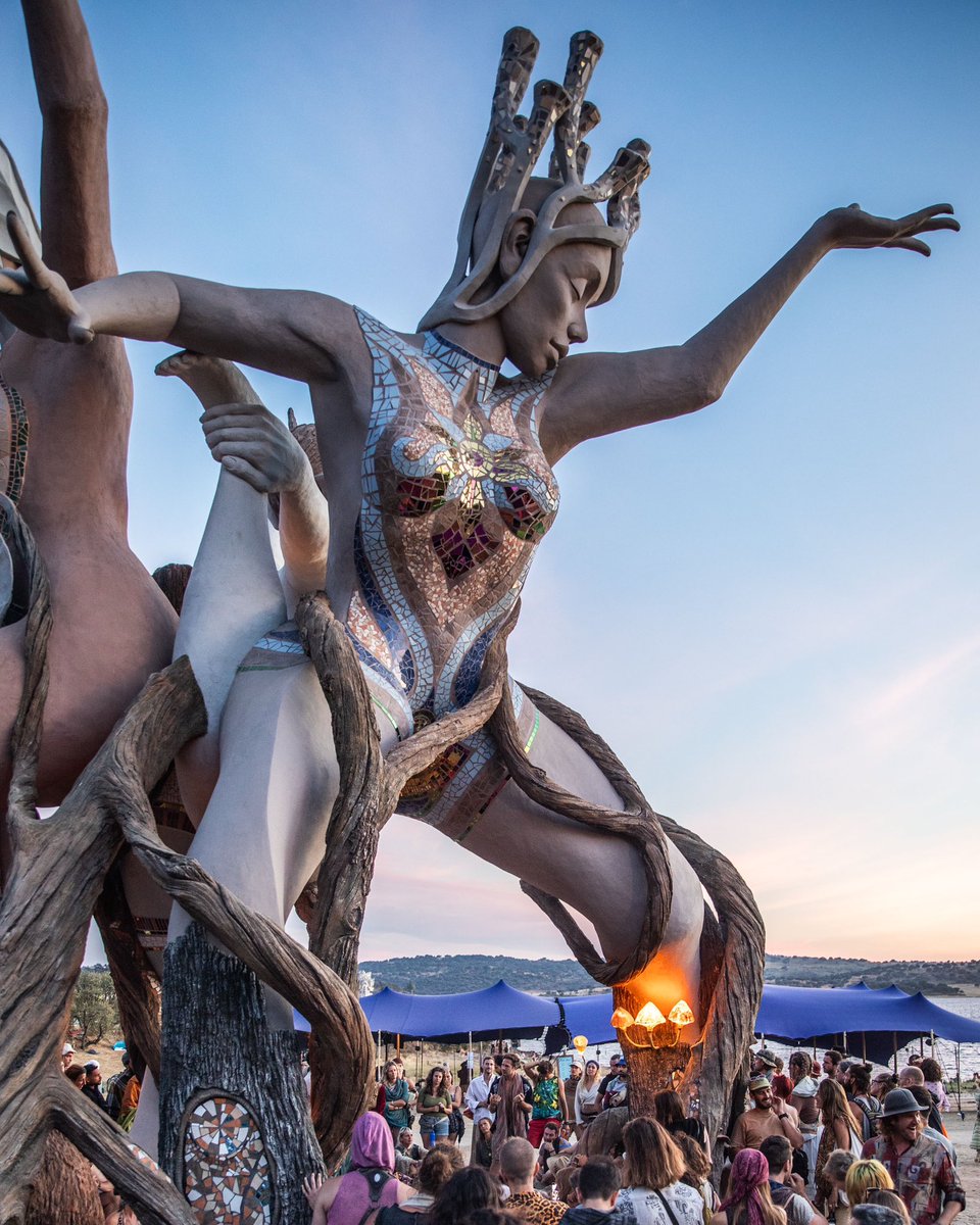 Daniel Popper tweet media