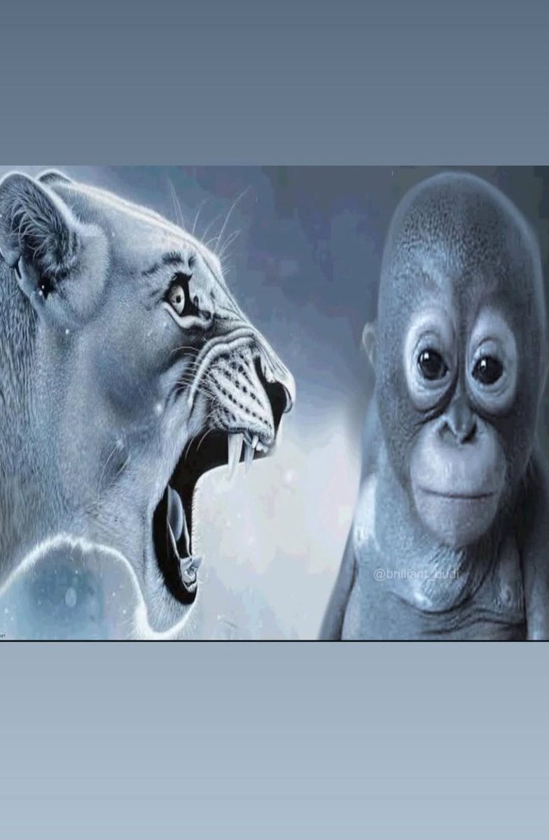 📱 | Quackity via instagram stories!