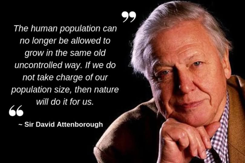 Where is Nature meant to live?🦉🐦🦋🌻🌳🦌🐞 tweet media