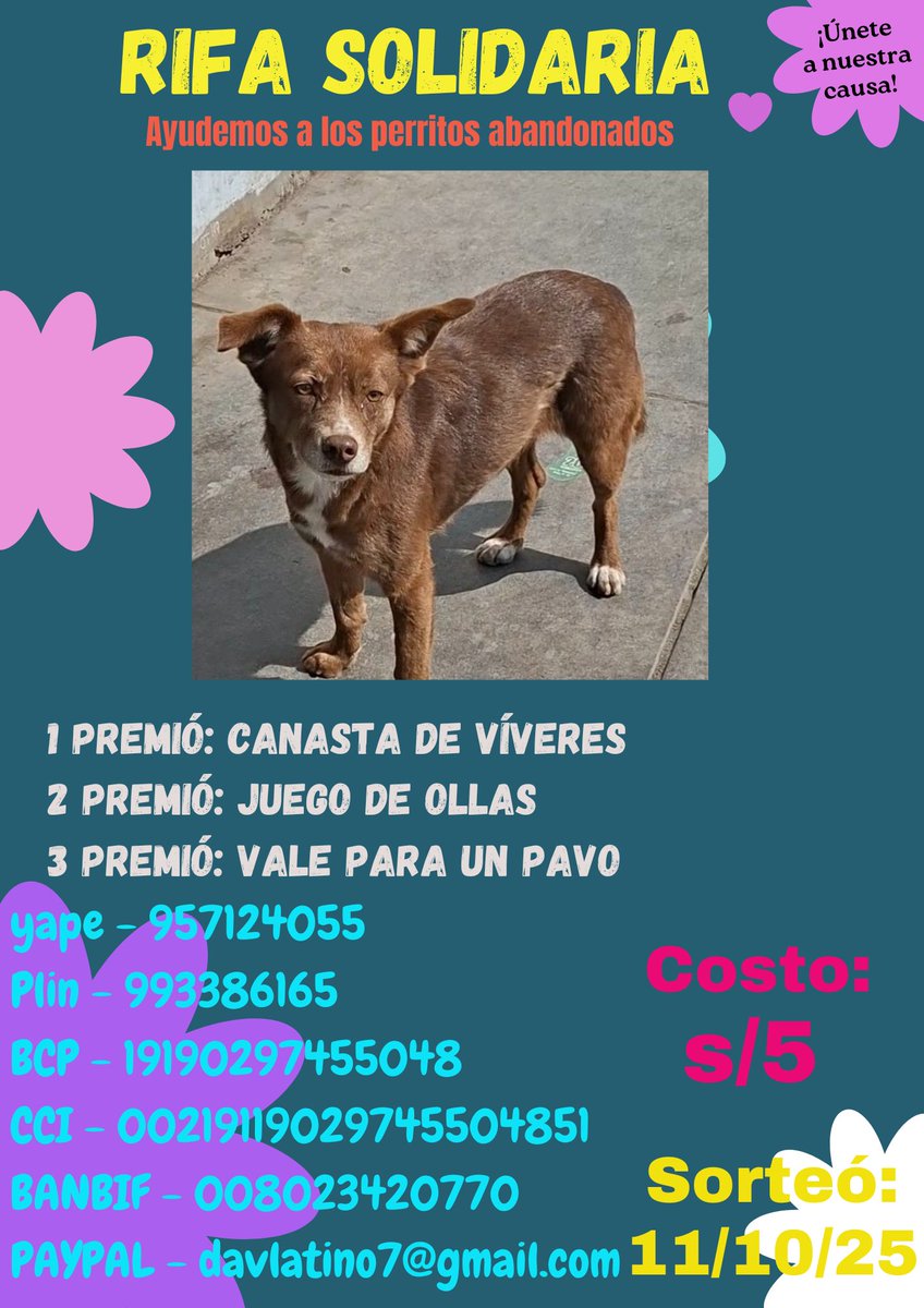 Duke un lomito abandonado que lleva días al rededor del óvalo huandoy requiere de atención veterinaria, medicina, alimento y temporal.
Colaboremos comprando una rifa el costó es de 5 soles , el sorteó se realizará el 11-10-25
Dale RT para llegar a más personas.