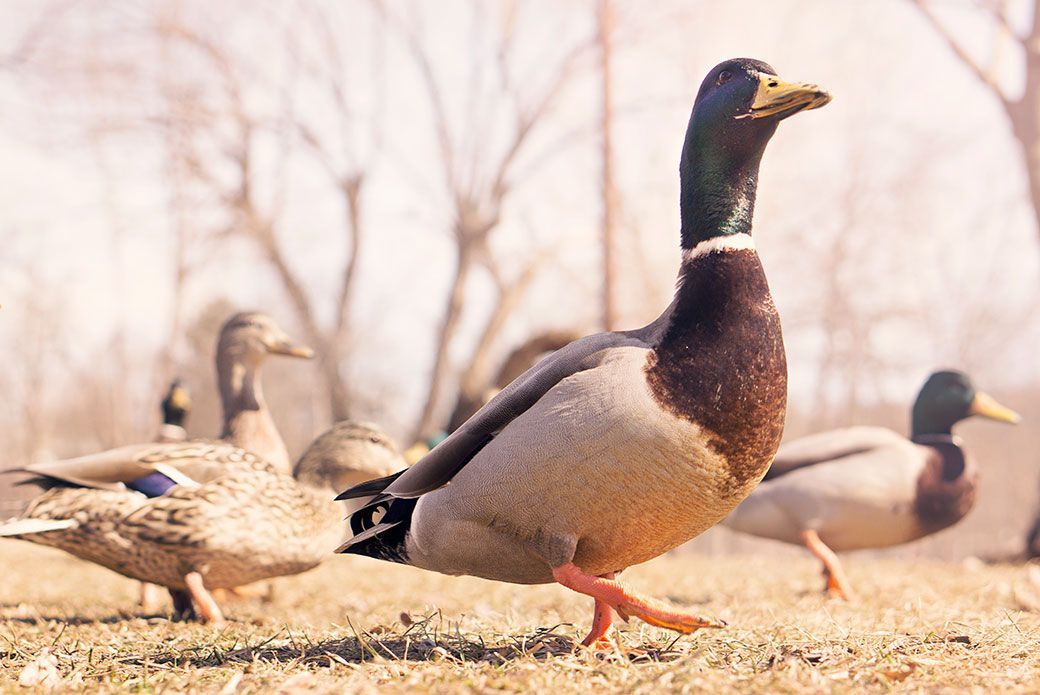 cjgilbertwebpro's tweet photo. 🎓 Business class is in session!
Join the @AskAWebGeek flock and get the answers you’ve been hunting for. 🦆
👉 https://t.co/Jdi07SKfic
#AskAWebGeek #smallbusiness #fallplanning #backtoschool
#smallbusiness #businesstips #business101 https://t.co/dWPIYgtUOO