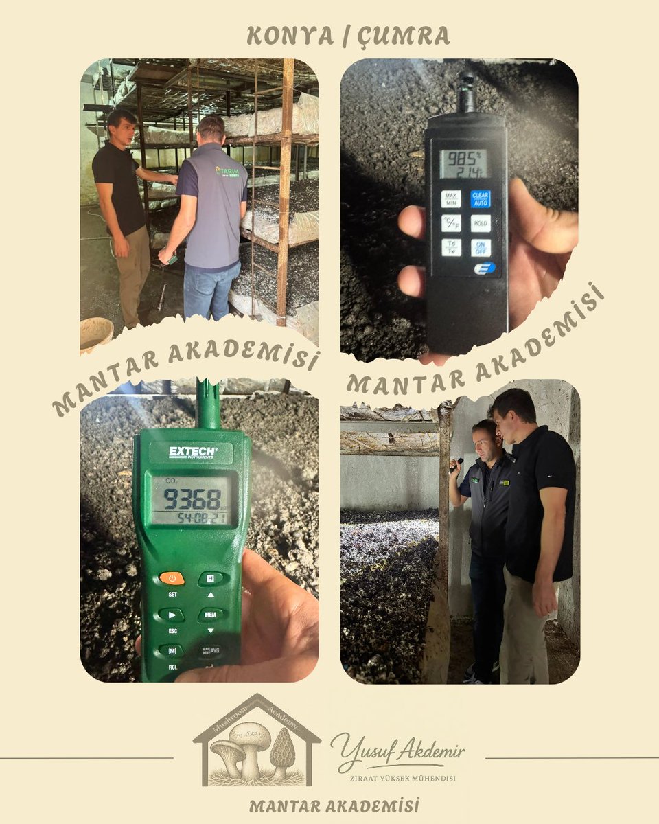 🍄Çalışmalarımız Devam Ediyor.🍄

📍#çumra

Kültür Mantarı

MAŞALLAH 👏👏👏

Tüm Üreticilerimize Hayırlı Helal Bol Kazançlar Dilerim.

#mantar #mushroom #tarımşehri #tarım #konya