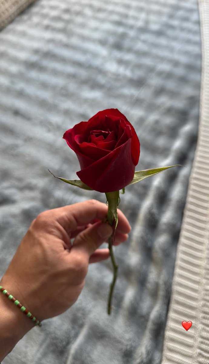 Isso só me faz lembrar de algo, Gustavo 😌🌹