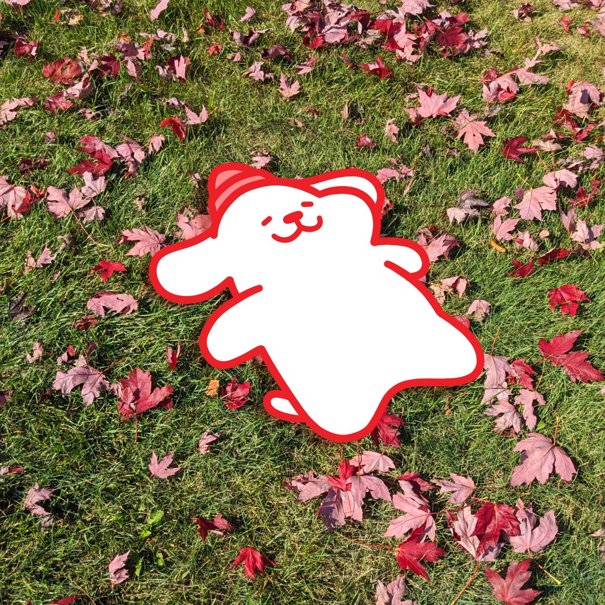HatDogDesigns's tweet photo. Having fun in the fall leaves 🍁🐶🍁 https://t.co/Ej0mYULyUq