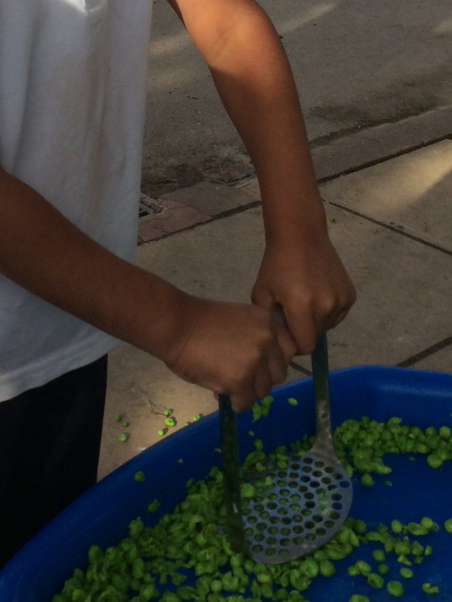 KerrMackiePS's tweet image. Reception were strengthening their hands, wrists and arms today, mashing up the frozen peas as a precaution  in case the evil pea was hiding amongst them. #qualitytexts #reception #enhancedprovision #outdoorprovision #supertato