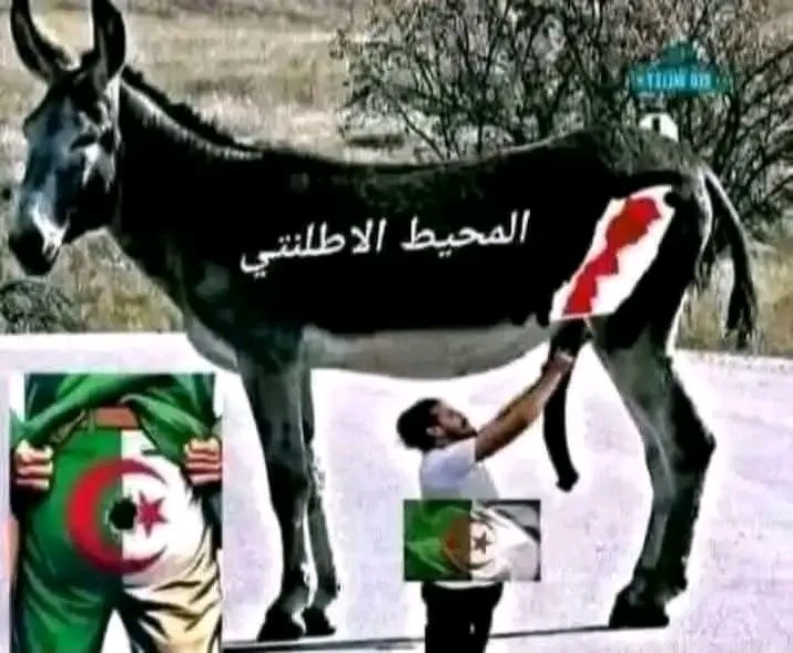 AlhdajyMbark's tweet photo. @algatedz https://t.co/Pvd1I4yk4Y