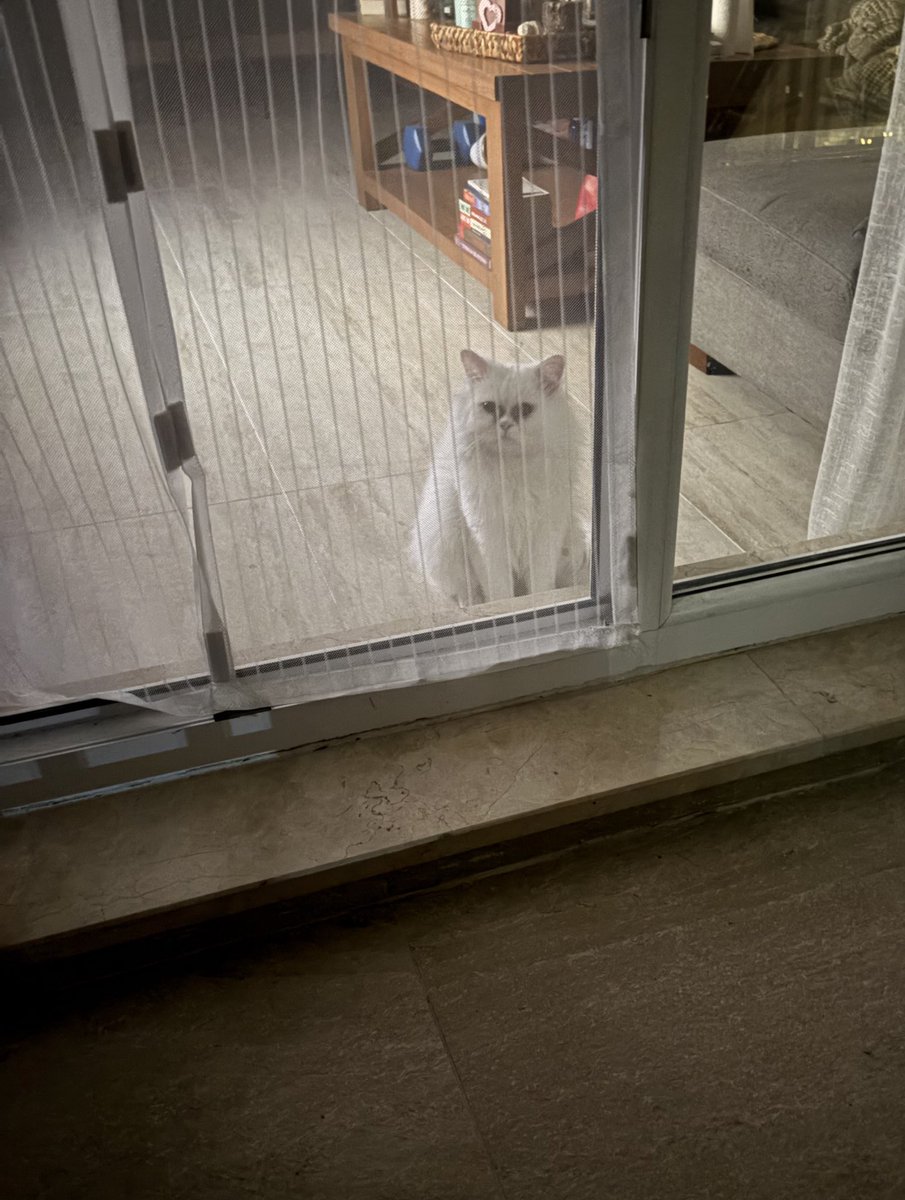 Allah kurtarsın kardeşim