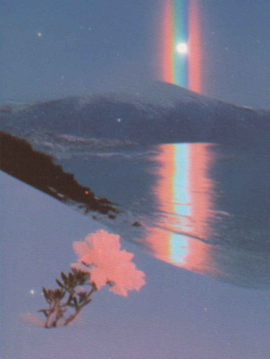 latte labs 🍵 (@latte_labs) on Twitter photo 