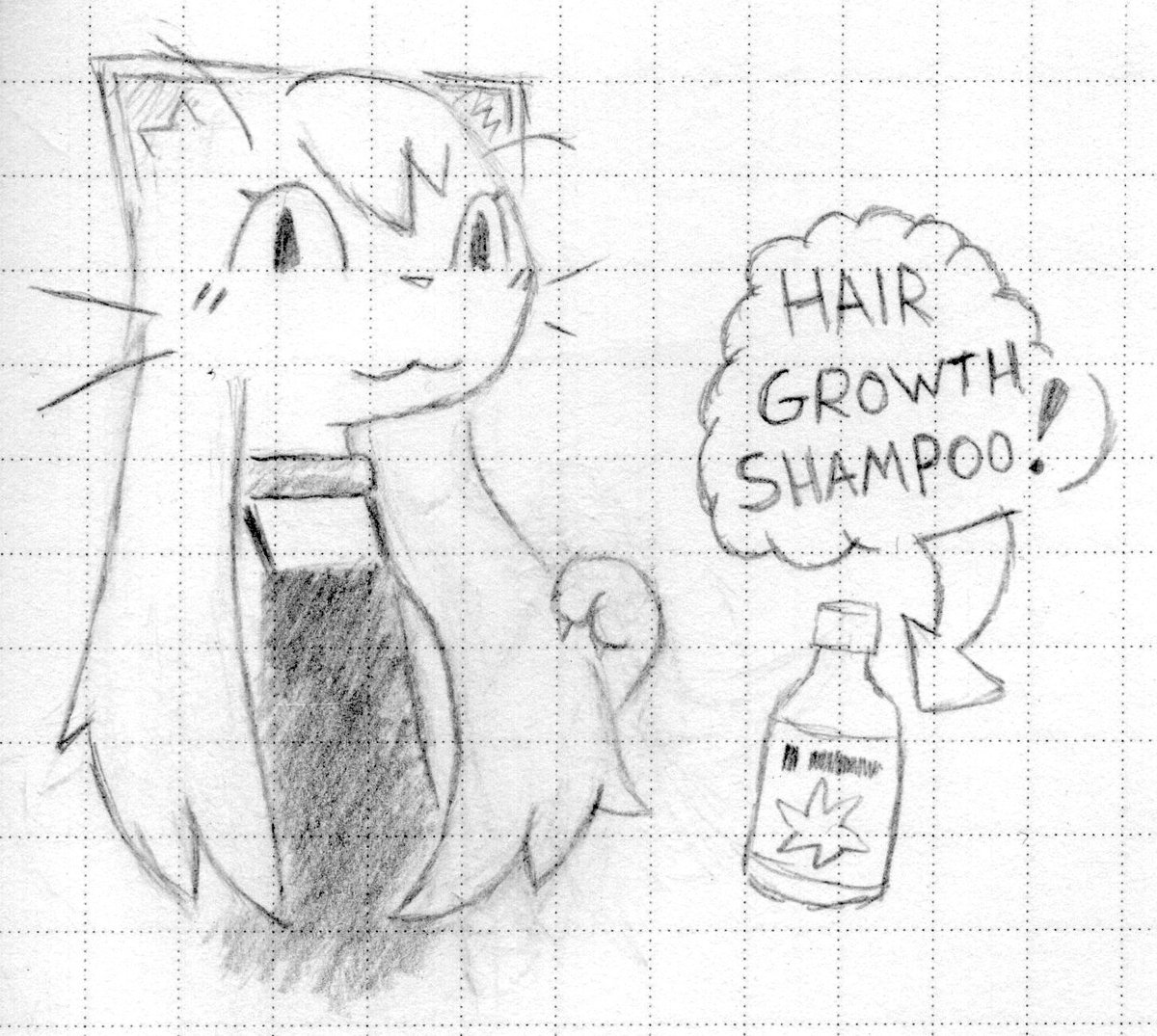 luRaichu tweet media