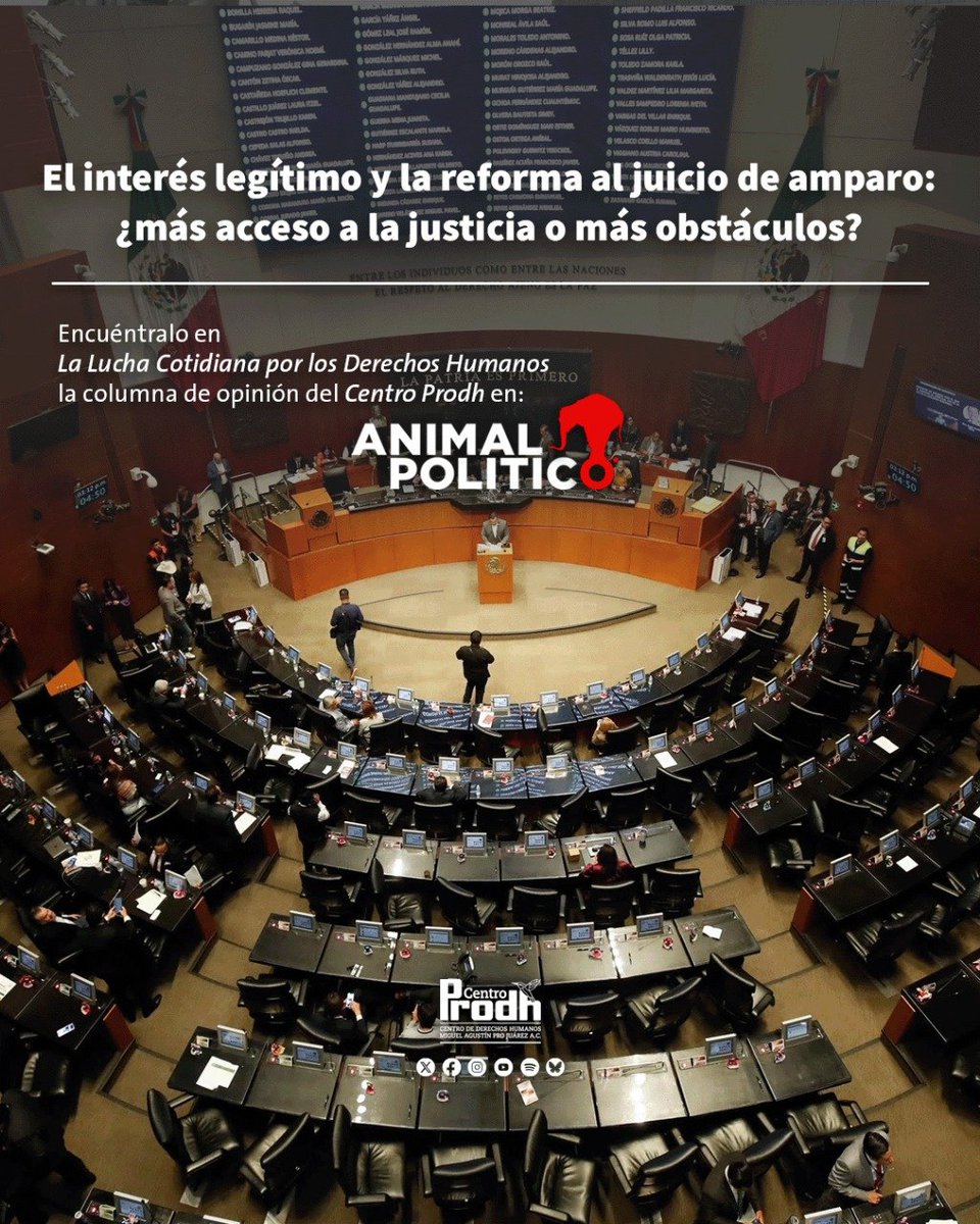 CentroProdh's tweet photo. La iniciativa de reforma de #LeyDeAmparo, que se discute en estos días, es de gran importancia en materia de #DDHH, debido a su relevancia en la protección de derechos para muchas personas, comunidades y colectividades en México. Por ello, es indispensable analizarla desde esa perspectiva.

La voz del @CentroProdh en @Pajaropolitico 👇https://t.co/6ZhDwRQNMl
