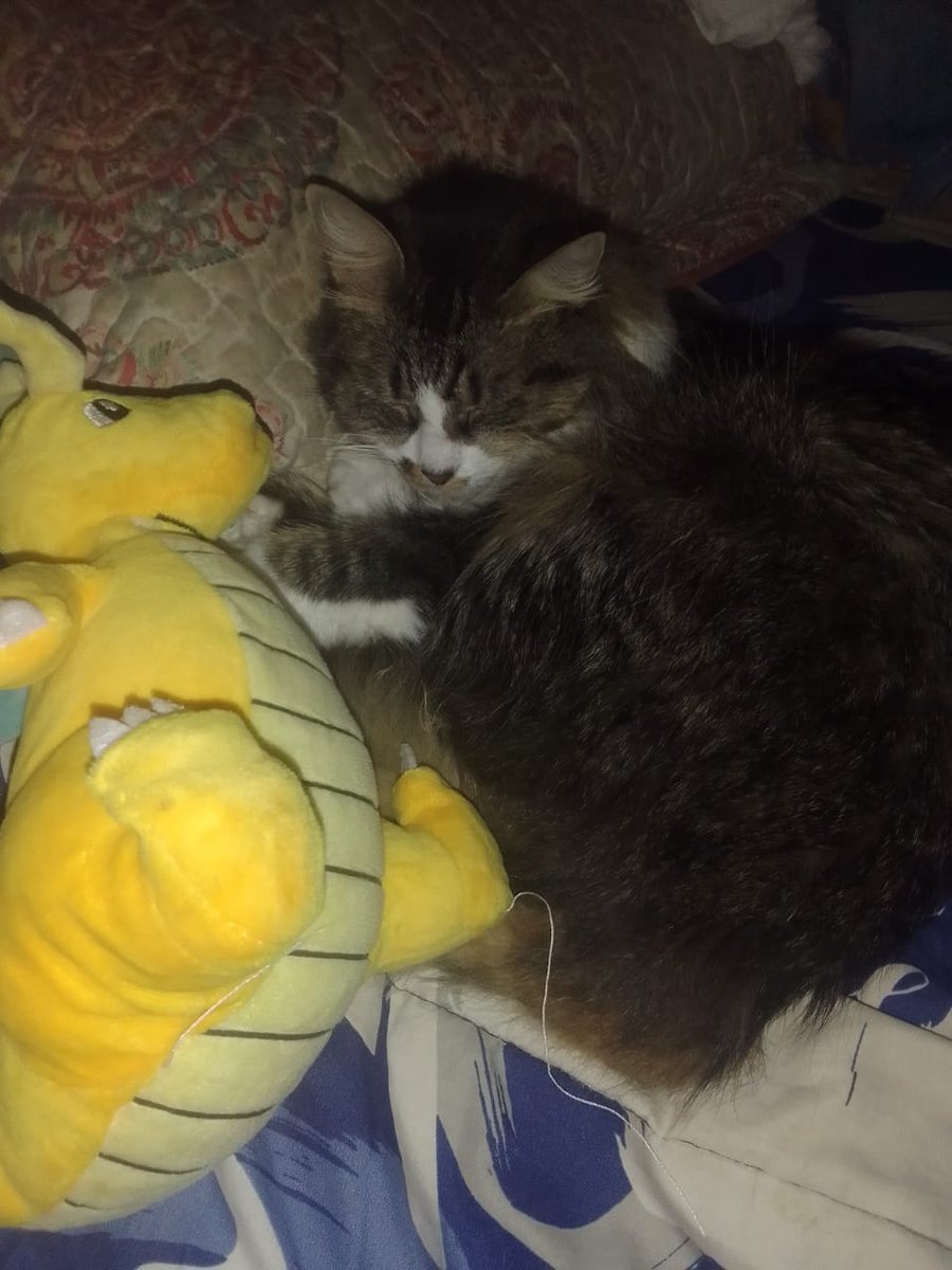 ssɐɯoɥꓕ tweet media