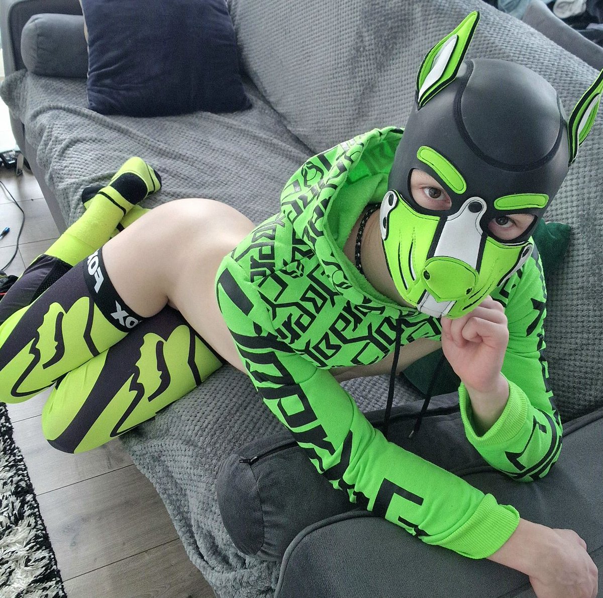 Pup Dexter 🐾 tweet media