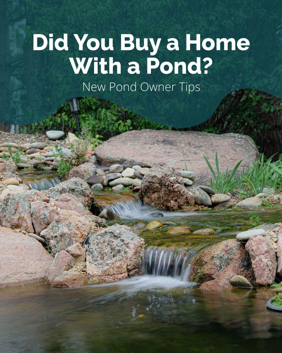 Colorado Pond Pros tweet media