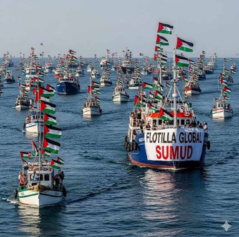 Opinión Arnaud Bertrand sobre la Flotilla Global Sumud que va rumbo a Gaza: 

"No creo que la gente se dé cuenta de lo que está pasando con la Flotilla Global Sumud: podría tener consecuencias muy graves. El hecho es que, en este momento,