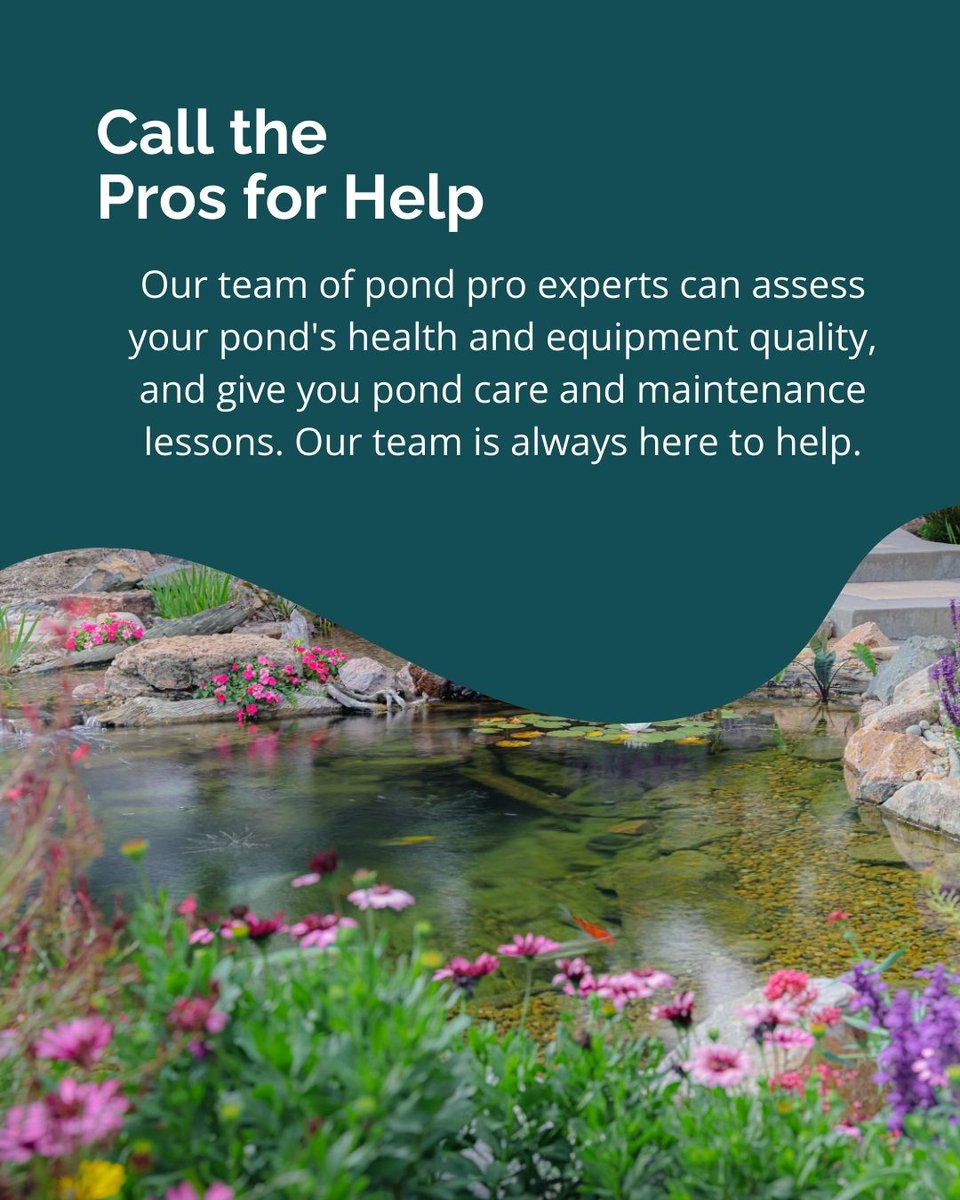 Colorado Pond Pros tweet media