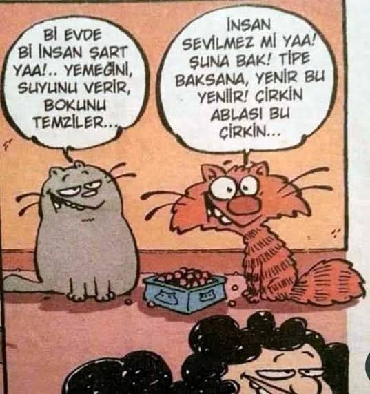 📌 Bazıları "Muhasebeciler sevilmiyor" diyormuş ❗

📌 Sevilmez mi, her işinizi yapıyorlar ❗