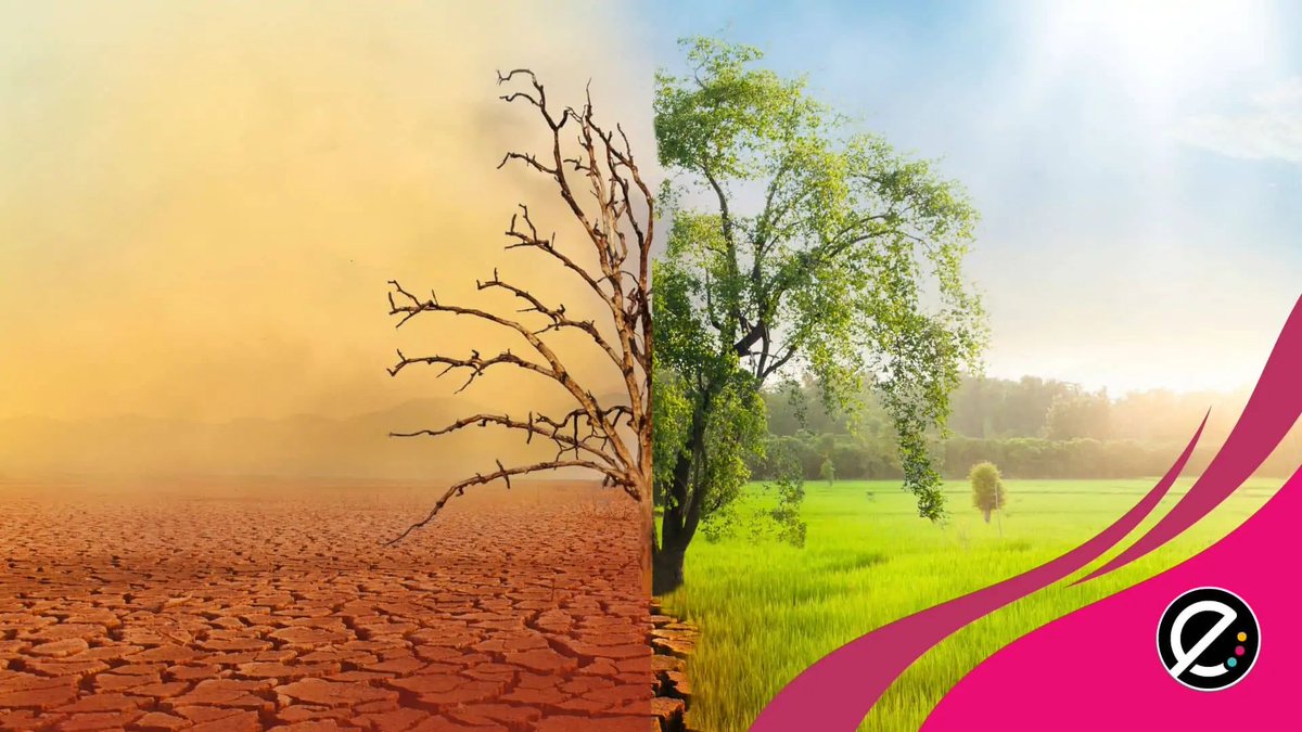 In the Hot Seat: Climate Education in Canadian Classrooms dlvr.it/TNNcjr