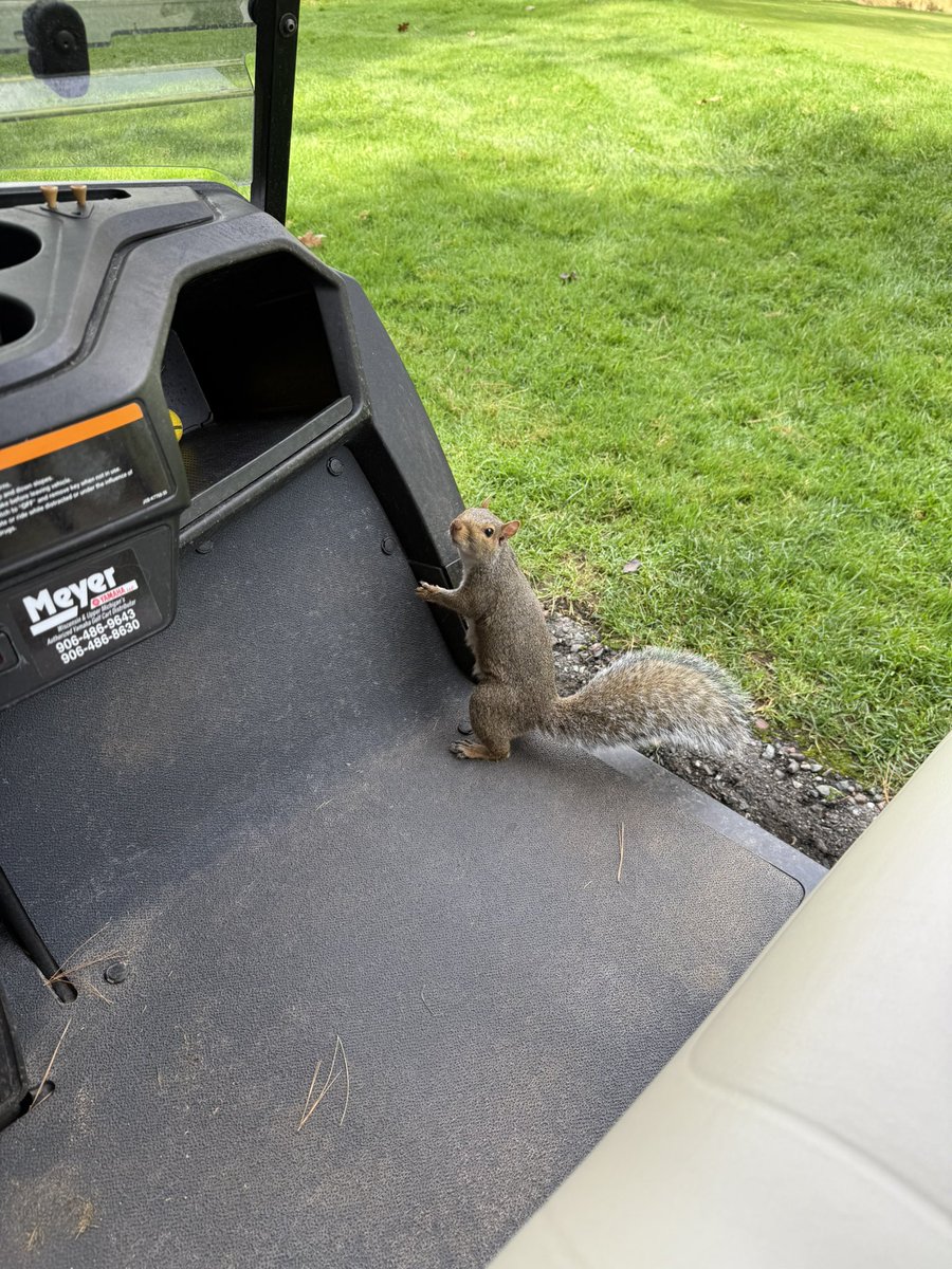 brdjx's tweet image. Feeling like Brother Nature today. 

#TimberStone