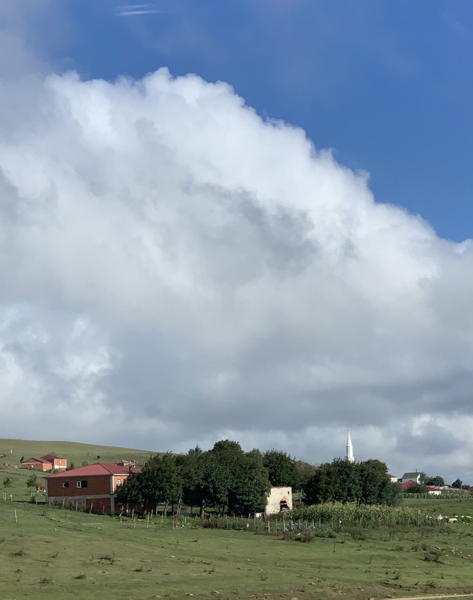 Esra🇹🇷 (@srmslu) on Twitter photo 