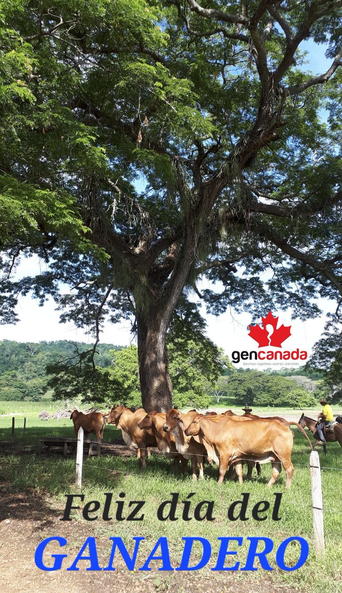 GENCANADA (@gencanada1) on Twitter photo 