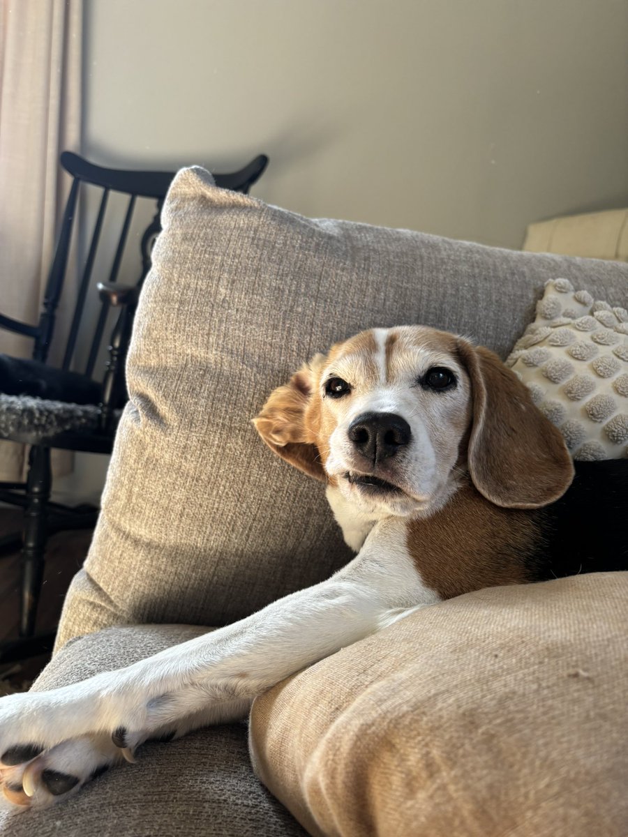 Long time no see, been busy snoozing the days away ☀️