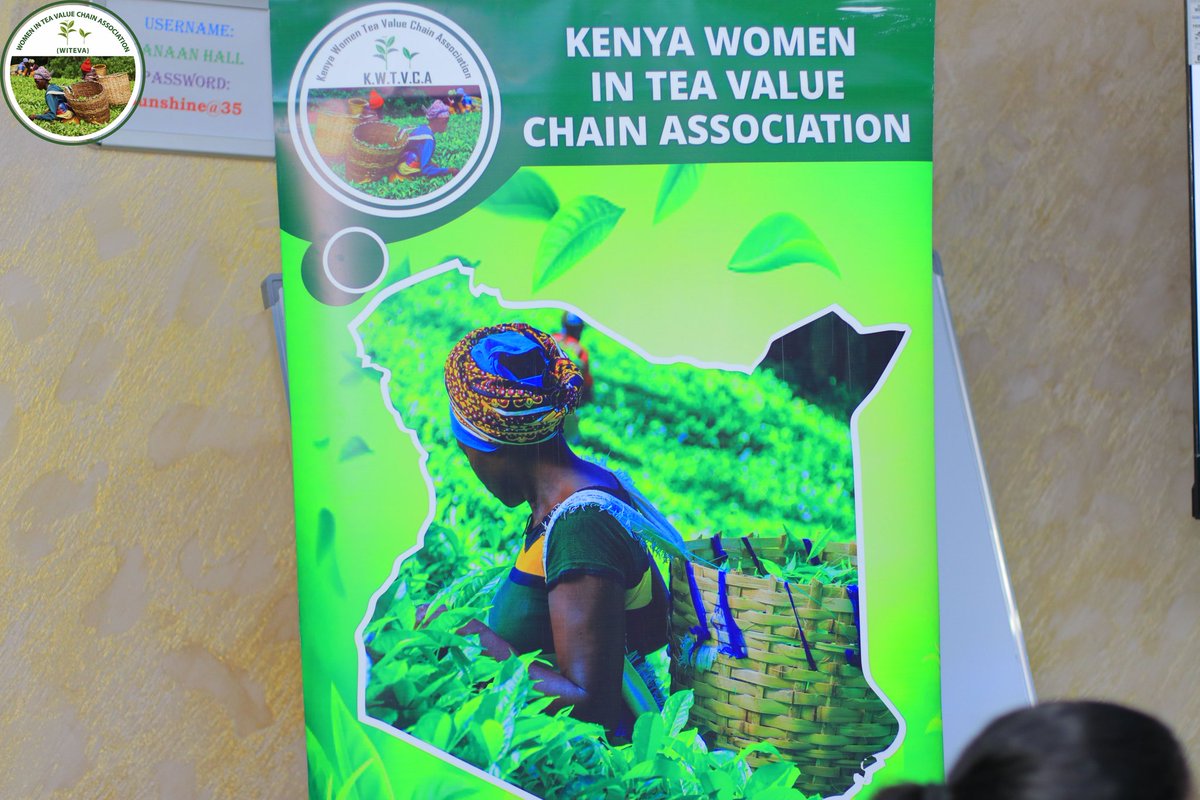witeva23's tweet photo. Today at Sunshine Uphill, Kericho, WITEVA held its AGM unveiling a new Board &amp; launching a 5-Year Strategic Plan. The plan focuses on women empowerment, rights protection &amp; sustainable growth in tea communities setting a renewed vision for inclusive development
#WomenEmpowerment https://t.co/p1MPJ3oMje