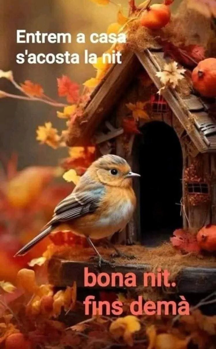 Bona nit a tothom! 💫✨✨✨