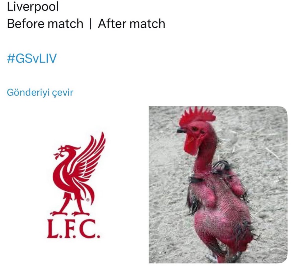 CingayHamza's tweet photo. @LFC https://t.co/mqg5k3y2LT