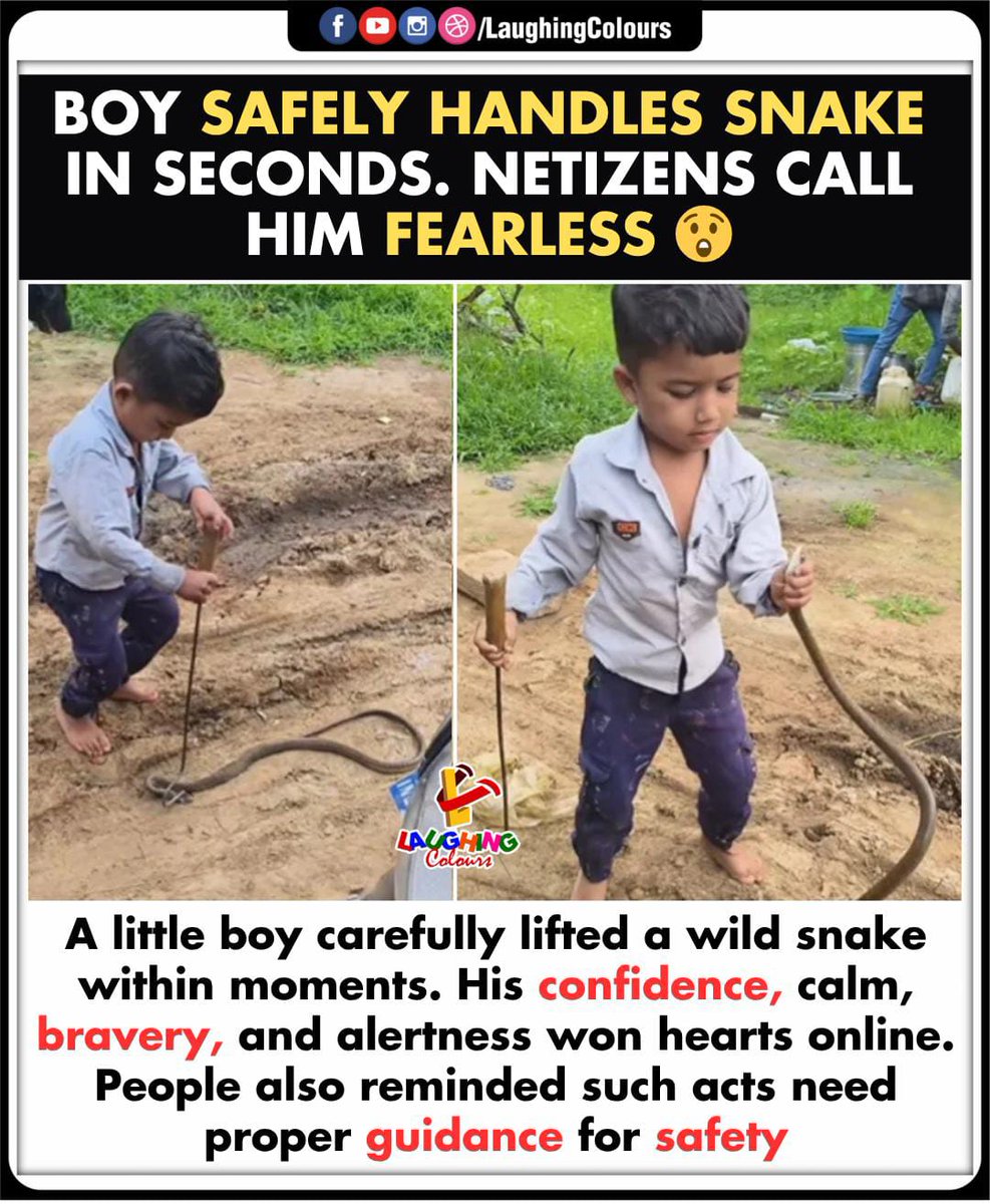 LaughingColours's tweet image. Fearless boy handles snake 😲

#ViralVideo #FearlessBoy #SnakeHandling #Bravery #TrendingNow #IncredibleIndia