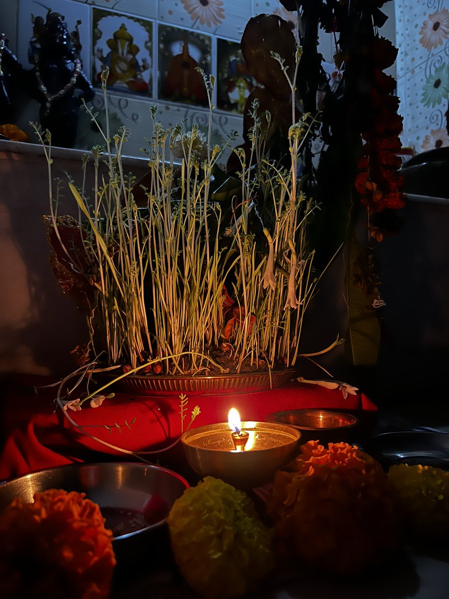 After seven years, celebrating Navratri at home felt truly special. These nine days reminded me how beautifully God’s plan unfolds just a heart full of gratitude and Devi’s blessings.♥️