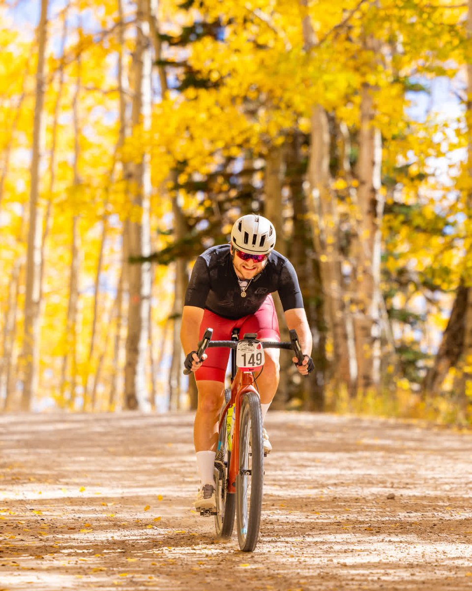 THREAD+SPOKE tweet media