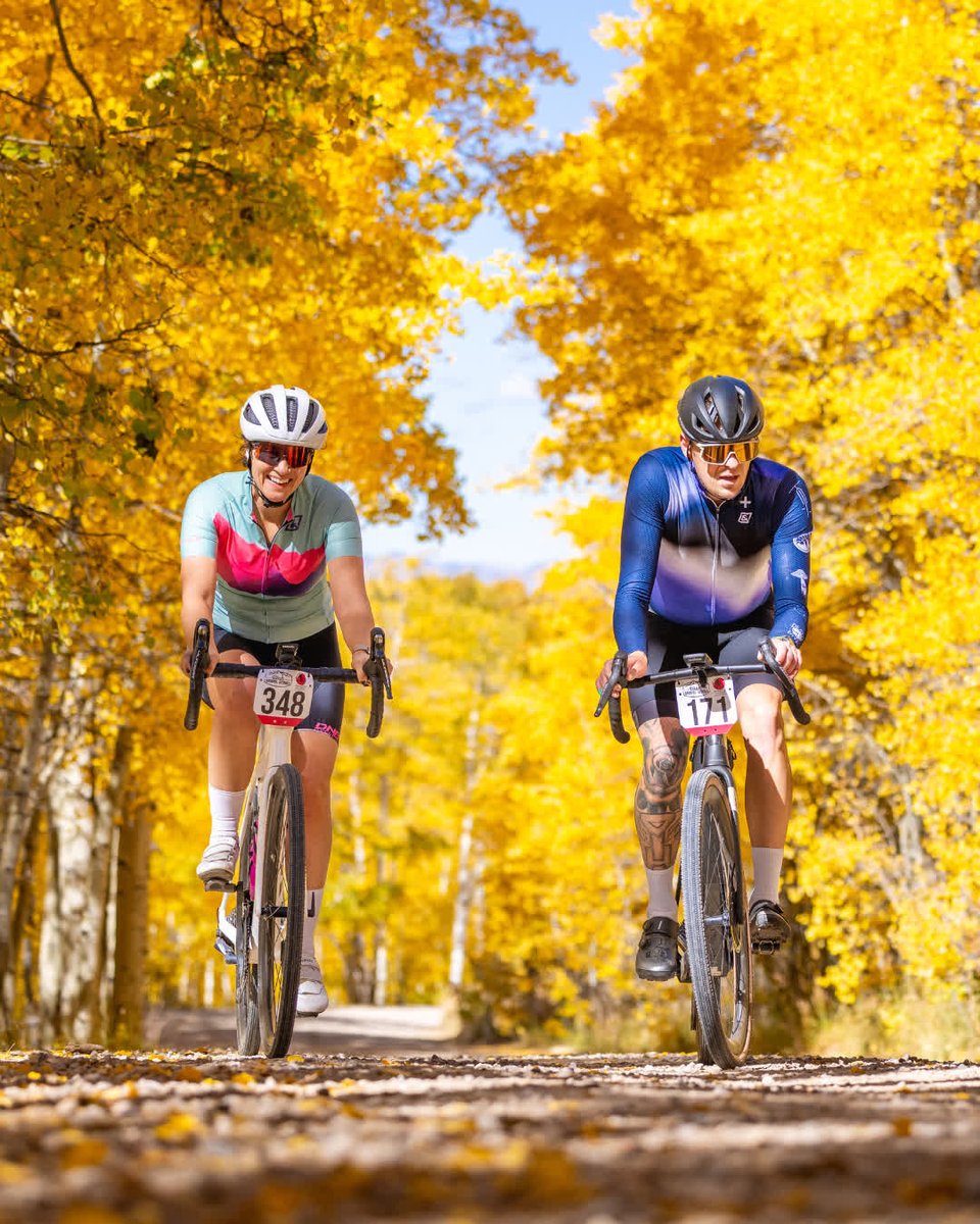 THREAD+SPOKE tweet media