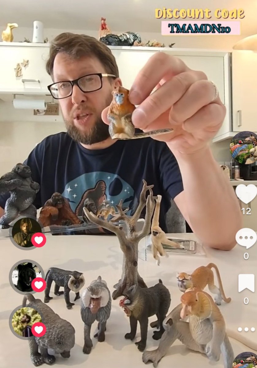 TetZoo's tweet image. The fantastic new #Toymany #primates set - including species not previously realised in toy form - is unboxed and reviewed in my new #TetZooTowers_collection TikTok... tiktok.com/@tetzootowers_… To buy it WITH DISCOUNT, visit toymany.com/collections/pr… and use code TMAMDN10 :)