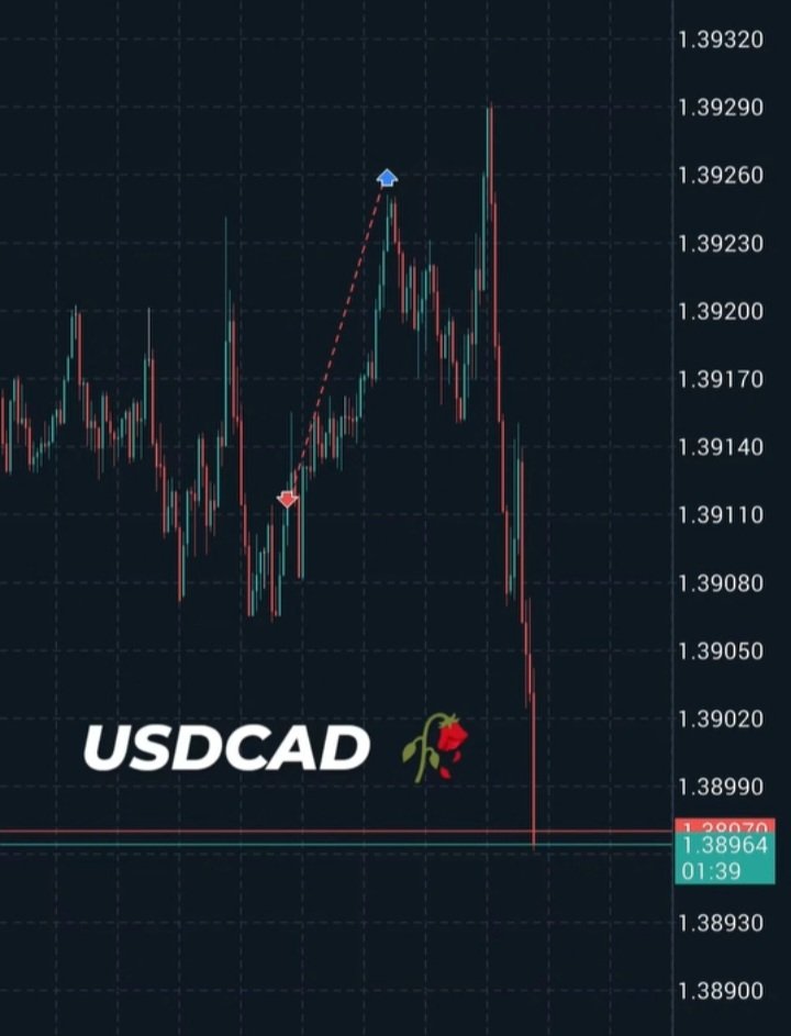 WakeelAhmedwfx's tweet photo. USDCAD pehle upar le gaya jese pyaar jata raha ho 😏💘
Phir neeche gira ke bola ‘sorry babe, bas mazaak tha’ 💔📉
Charts bhi thode toxic hi lagte hain 🤭✨
#ForexVibes #TradingQueen https://t.co/zAl9rmIzvg