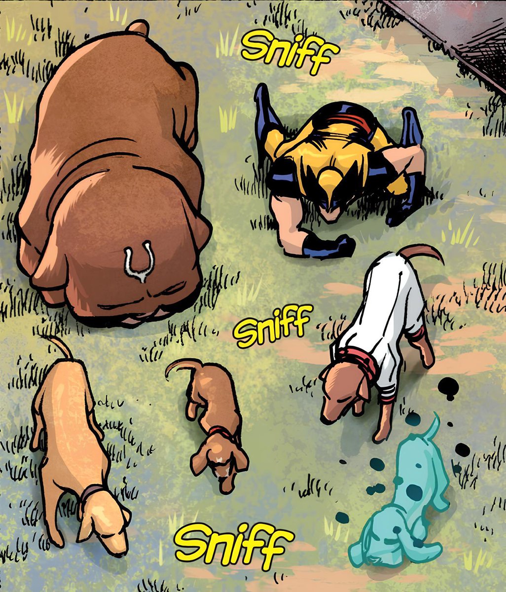 XSNlKT's tweet image. 