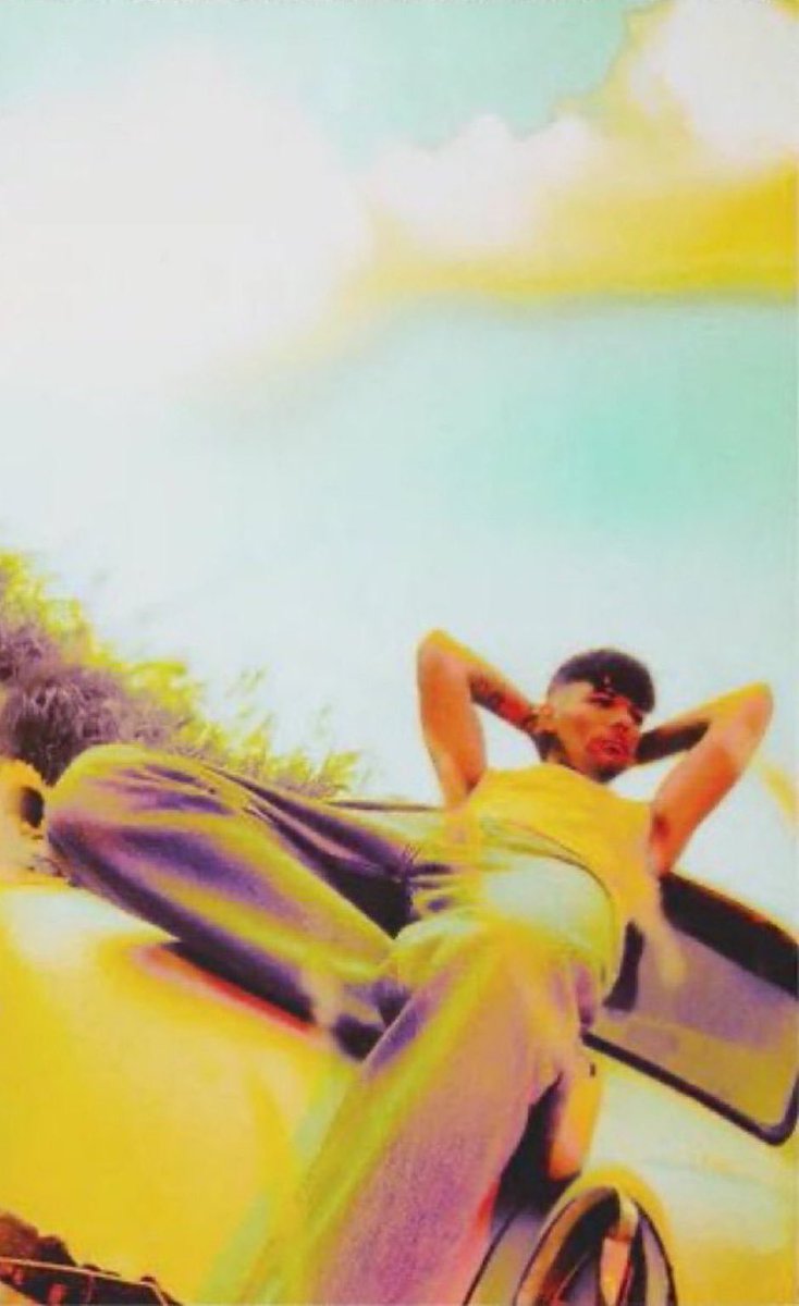 CloudGazer17's tweet image. He's worked a hard day at the shop, and #shes giving him a strip tease in the sunflower field.