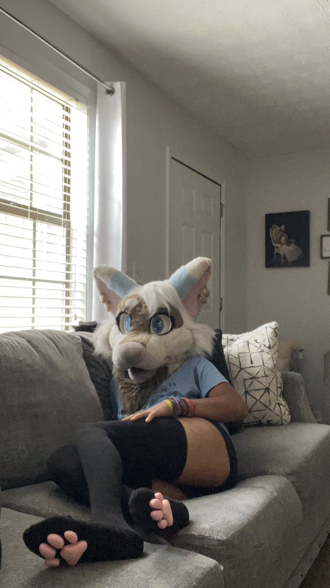 umi_the_feline🔜FWA’26 tweet media