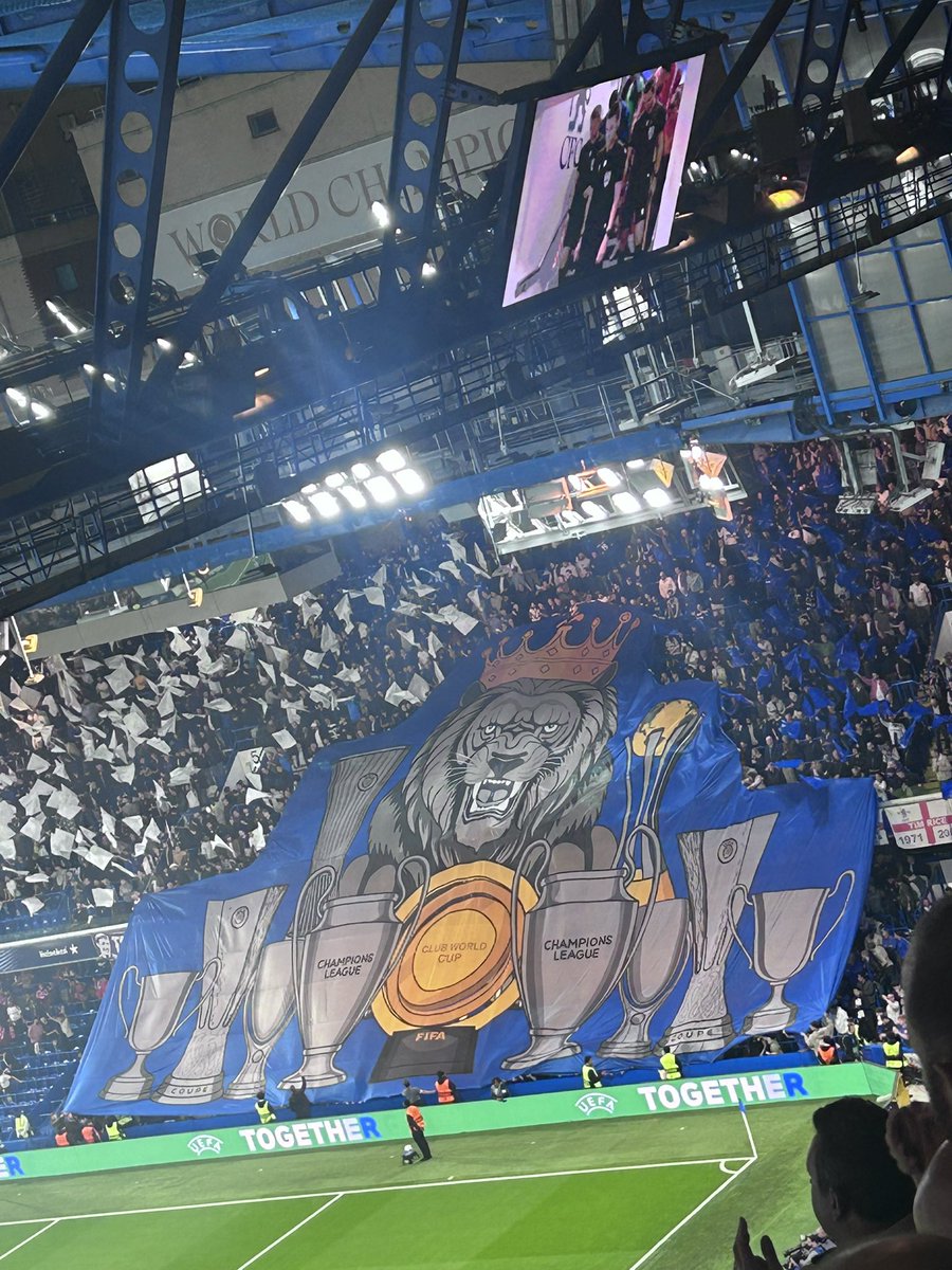 RTWhiting76's tweet photo. This looked the business 💪@WeAre_TheShed https://t.co/PddPbejauf