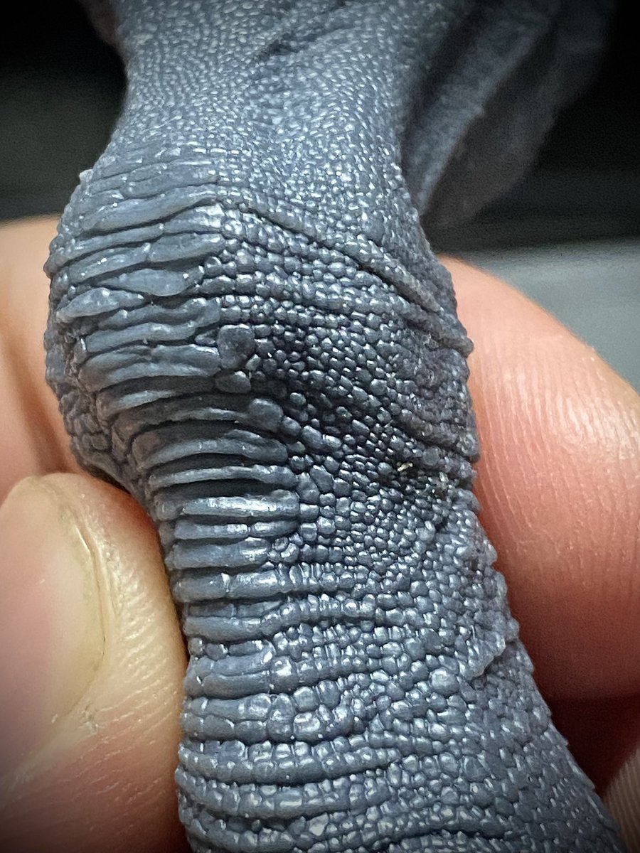 SaberTutz tweet media